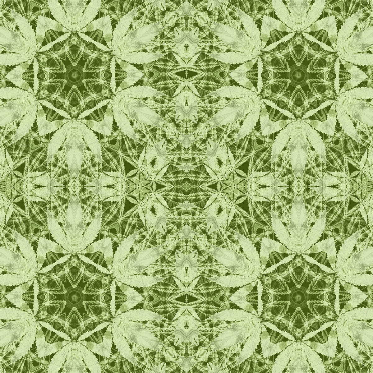 Intricate green botanical leaf pattern wallpaper with symmetrical design