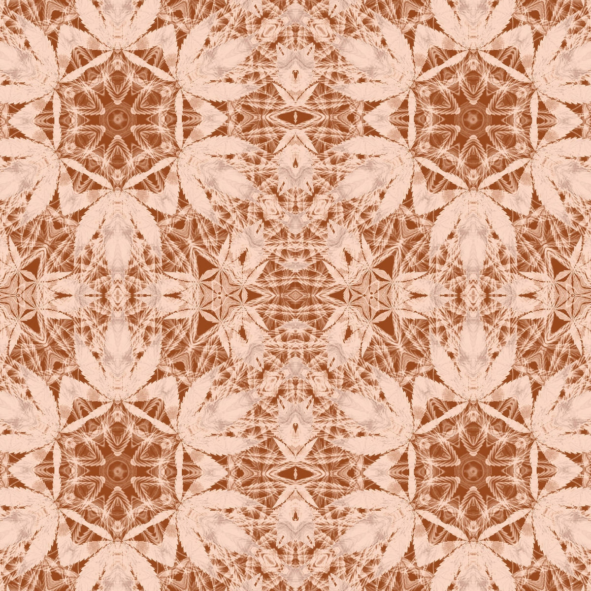 Mary Jane Almond wallpaper with intricate terracotta and cream motifs