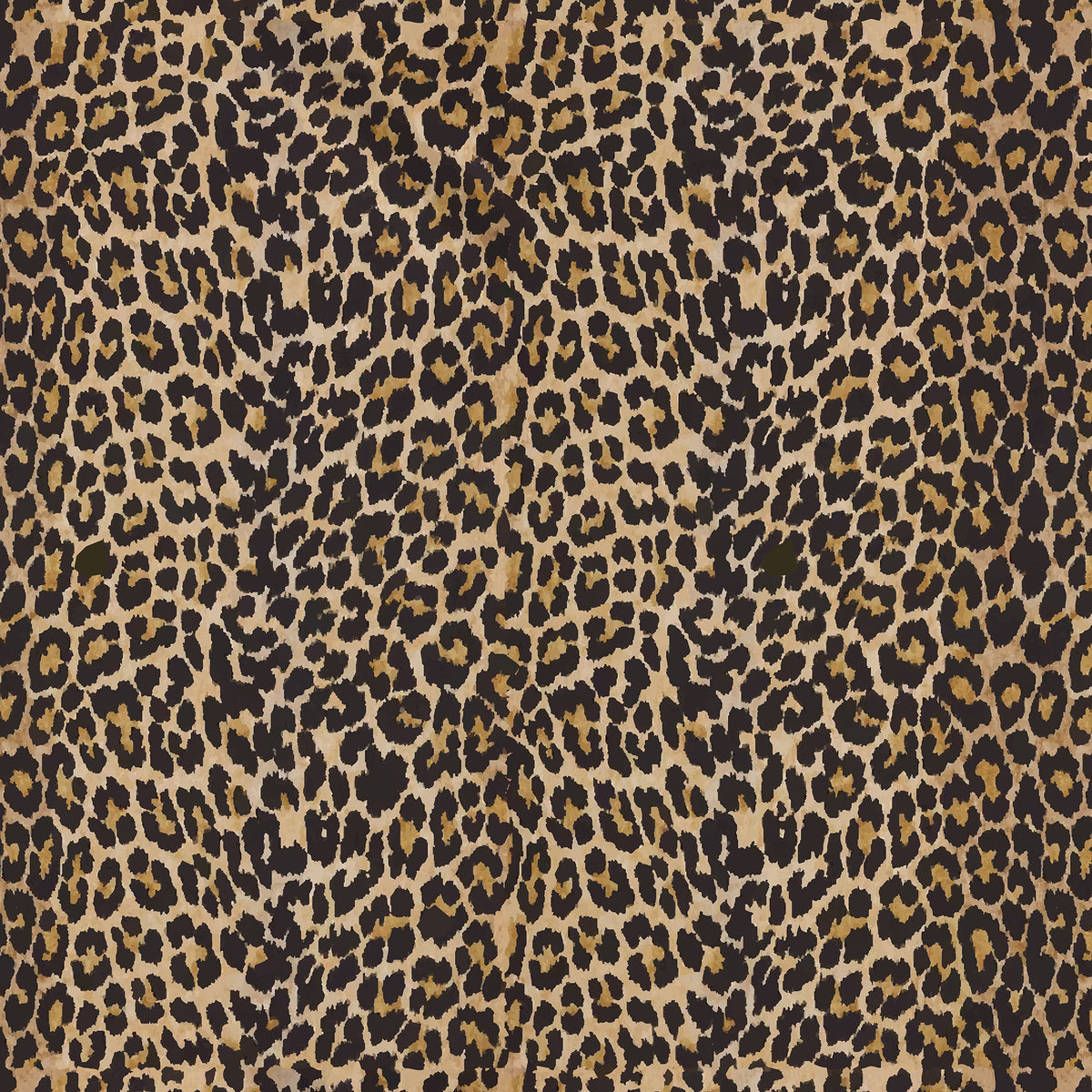 Wild Duster Robe